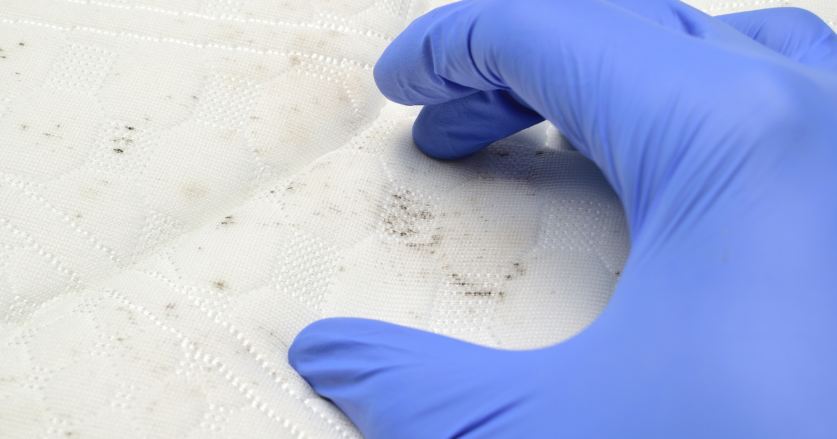Comment Nettoyer la Moisissure sur le Tissu